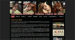 Desktop Screenshot of ledesmaarocena.com