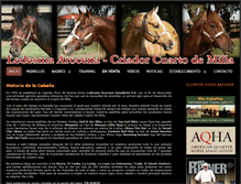 Tablet Screenshot of ledesmaarocena.com